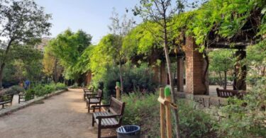 Barcelona inicia obras de mejora en sus espacios verdes