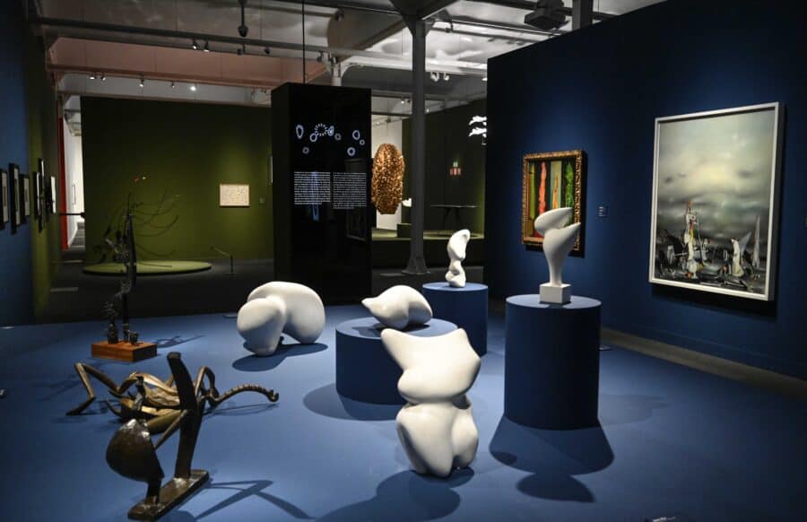 Arte y Naturaleza: la exposición que deslumbra en Barcelona