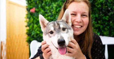 Husky House de Barcelona