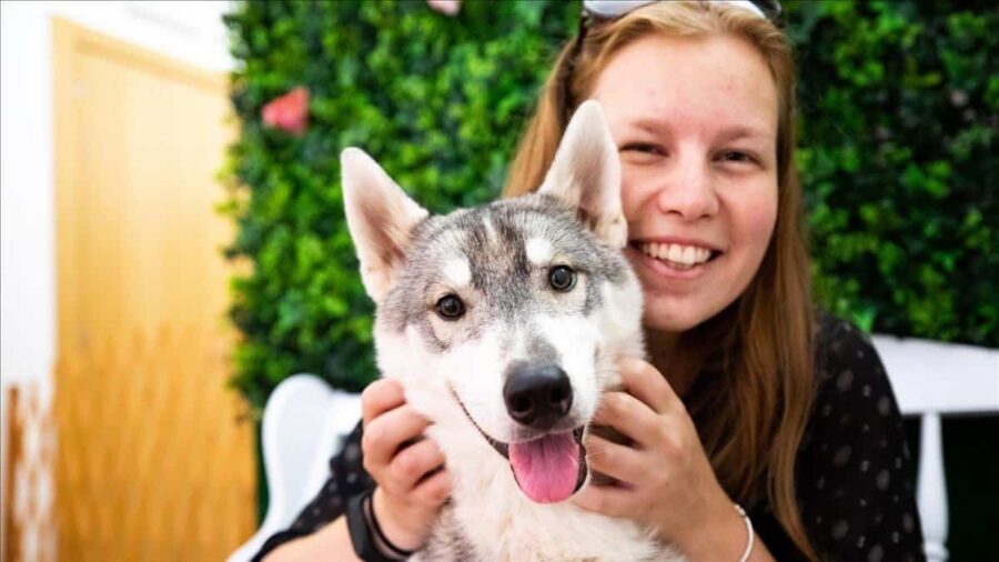 Husky House de Barcelona