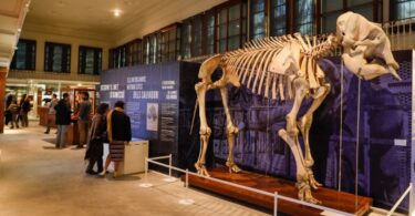 El Museo Martorell reabre sus puertas después de 13 años de cierre