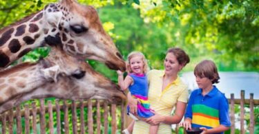 'El Día del Canguro' en el Zoo de Barcelona, entradas gratis si vas con un niño