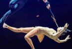 Prepárate para la edición número 12 del Festival Internacional del Circ Elefant d’Or