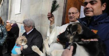 Bendición de animales y desfile de Tres Tombs en las fiestas de Sant Antoni
