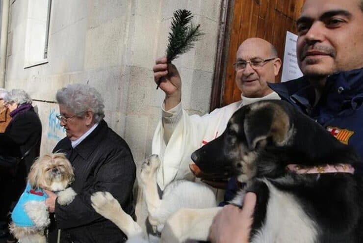 Bendición de animales y desfile de Tres Tombs en las fiestas de Sant Antoni