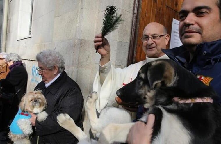 Bendición de animales y desfile de Tres Tombs en las fiestas de Sant Antoni