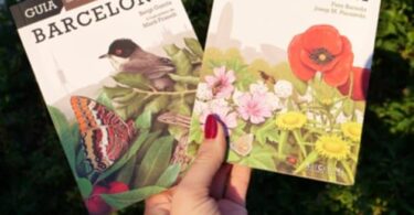 Nuevas guías de flora y fauna de Barcelona para explorar la diversidad urbana