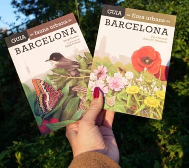 Nuevas guías de flora y fauna de Barcelona para explorar la diversidad urbana