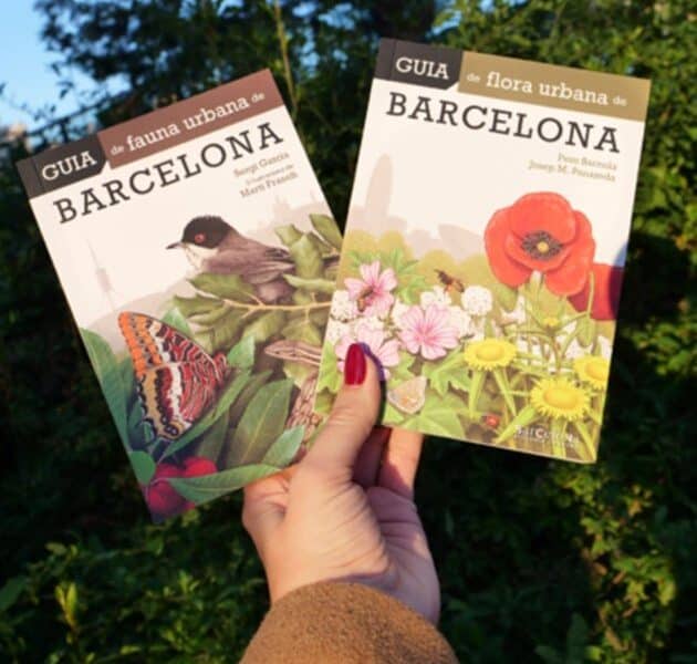 Nuevas guías de flora y fauna de Barcelona para explorar la diversidad urbana