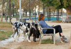 Indignación entre los dueños de perros por el cierre prematuro de parques en Barcelona