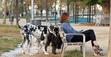 Indignación entre los dueños de perros por el cierre prematuro de parques en Barcelona
