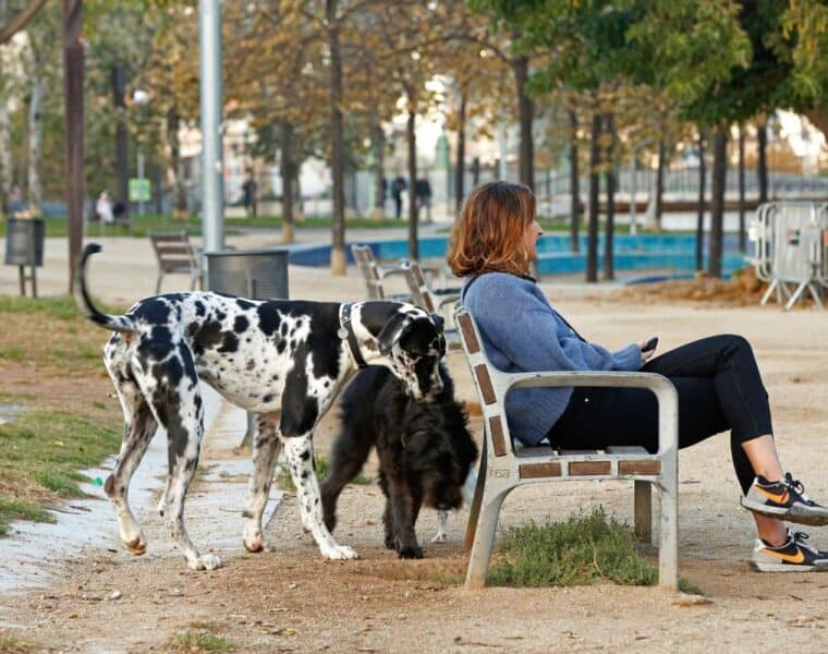 Indignación entre los dueños de perros por el cierre prematuro de parques en Barcelona