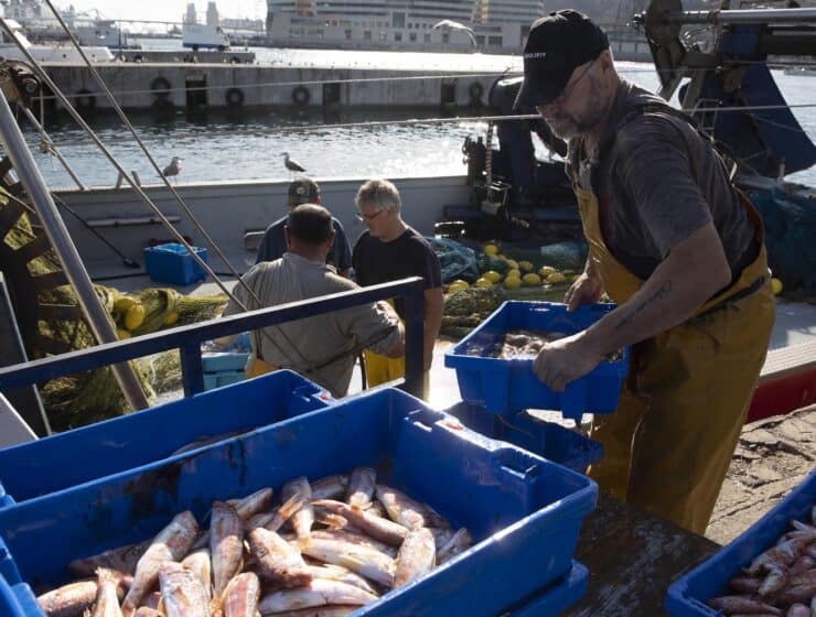 Desafíos y transformaciones: el declive de las pescaderías en Barcelona