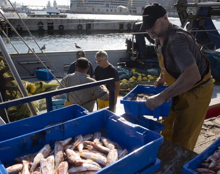 Desafíos y transformaciones: el declive de las pescaderías en Barcelona