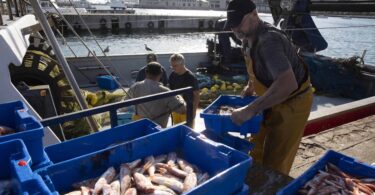 Desafíos y transformaciones: el declive de las pescaderías en Barcelona