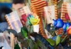 Llegan las Fiestas de Primavera de L'Hospitalet: diversión, cultura y música en vivo