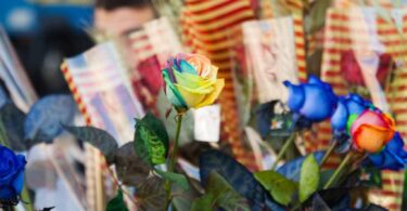 Llegan las Fiestas de Primavera de L'Hospitalet: diversión, cultura y música en vivo