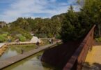 Actividades gratuitas en el Jardín Botánico de Barcelona con ocasión de su 25 aniversario