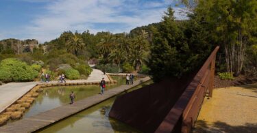Actividades gratuitas en el Jardín Botánico de Barcelona con ocasión de su 25 aniversario