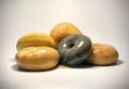 Cirqloo, un donut relleno de un guiso