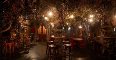 El Bosc de les Fades: café- bar refugio encantado en Barcelona