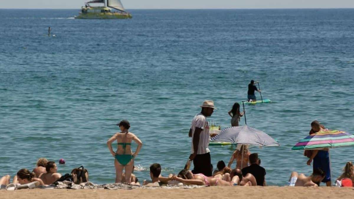 Catalonia's beaches with Blue Flag for summer 2024