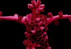 Sónar Barcelona 2024, experiencia inmersiva con The Chemical Brothers en Casa Batlló