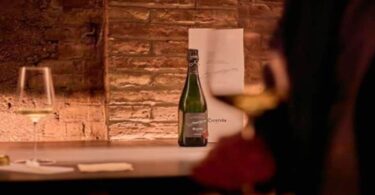 Recaredo, una bodega centenaria de Catalunya