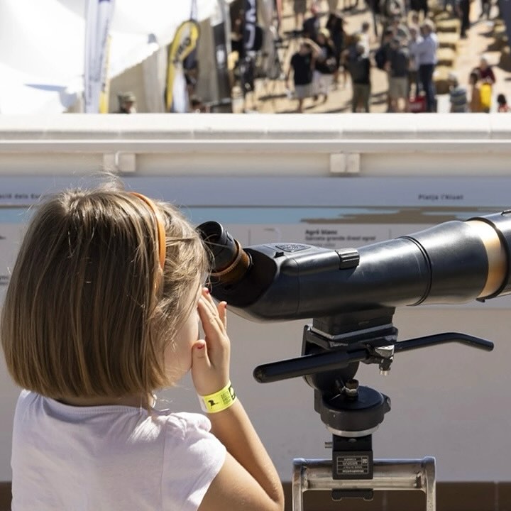 Festival ornithologique du Delta