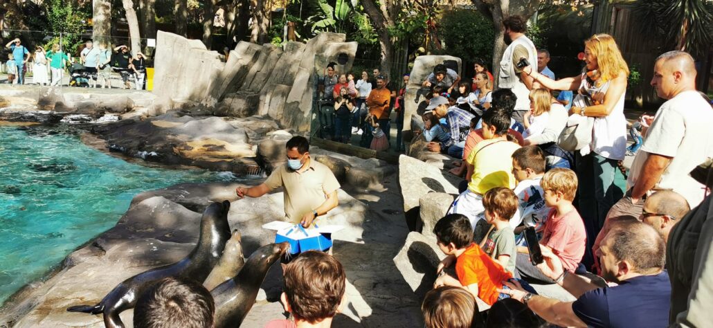 The success of the Barcelona Zoo in summer