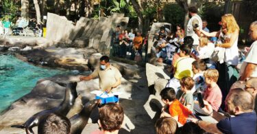 El éxito del Zoo de Barcelona en verano