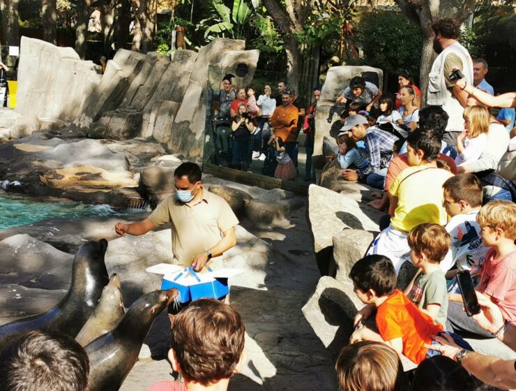 El éxito del Zoo de Barcelona en verano