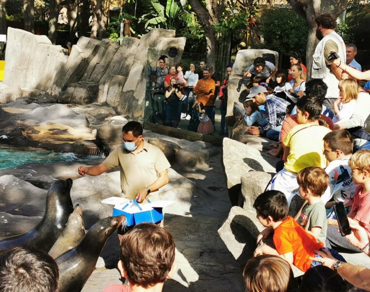 El éxito del Zoo de Barcelona en verano