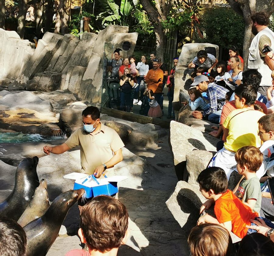 El éxito del Zoo de Barcelona en verano