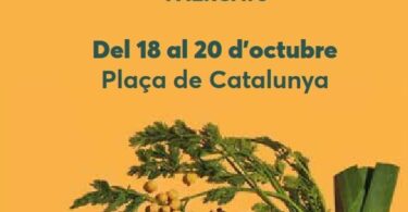 La Fira Mercat de Mercats