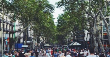 importancia del marketing en los negocios en Barcelona