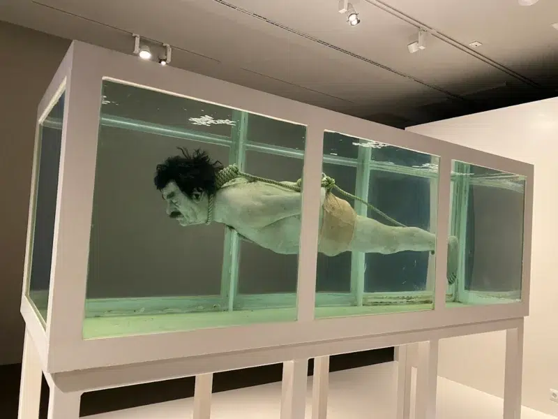 Museu de l'Art Prohibit 2
