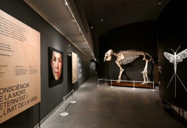 Centro Martorell de Exposiciones