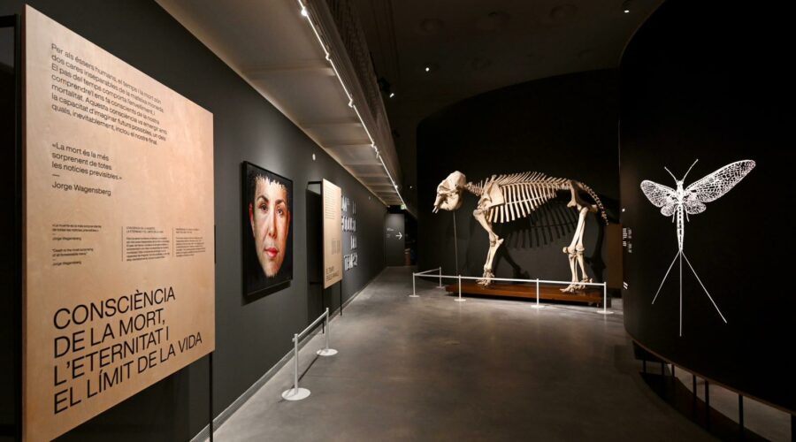 Centro Martorell de Exposiciones