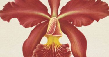 nueva exposición del Invernadero