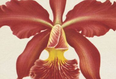 nueva exposición del Invernadero