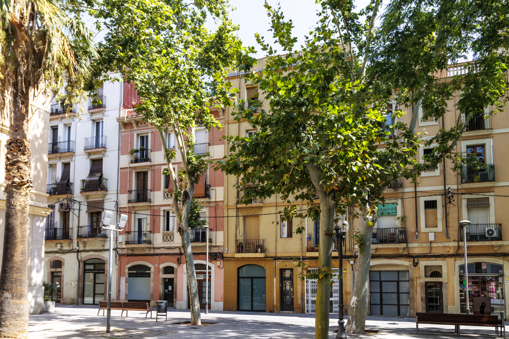 Clot y Camp de l'Arpa
